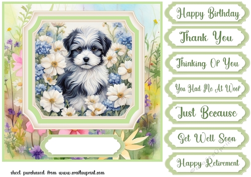 Framed floral puppy card front 9