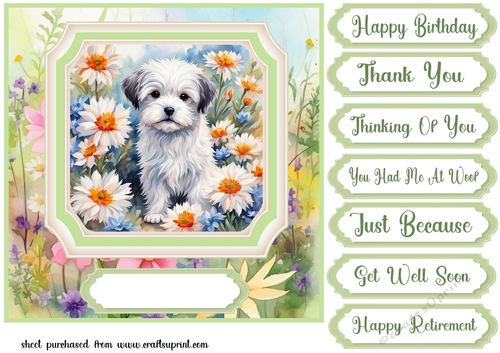 Framed floral puppy card front 10