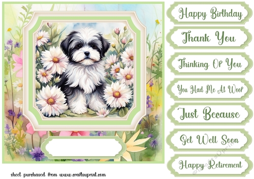 Framed floral puppy card front 11