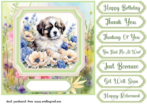 Framed floral puppy card front 12