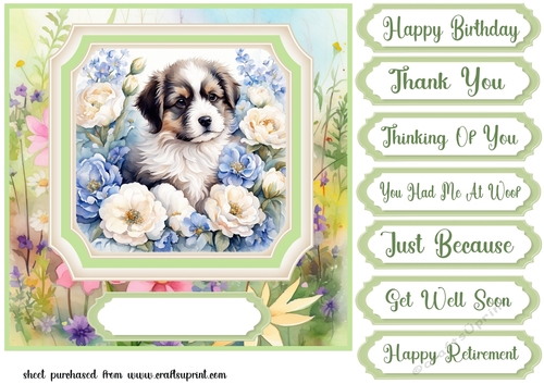 Framed floral puppy card front 14
