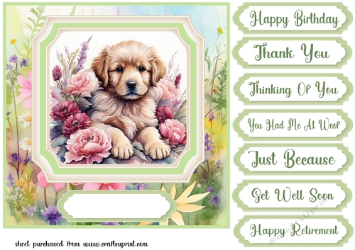 Framed floral puppy card front 16
