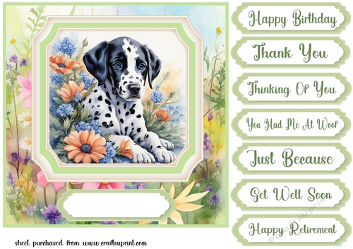 Framed floral puppy card front 17