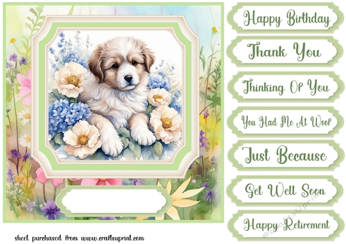 Framed floral puppy card front 18