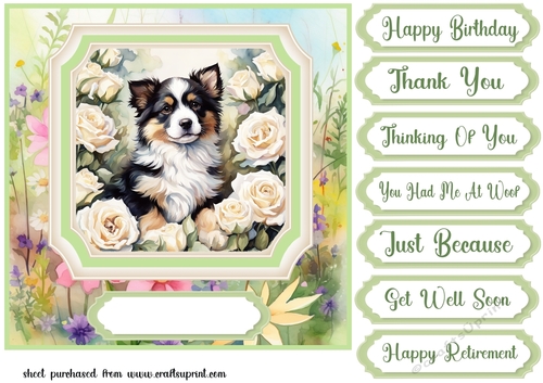 Framed floral puppy card front 19