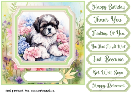 Framed floral puppy card front 20