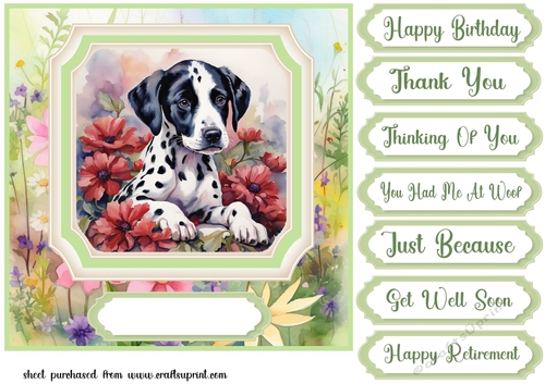 Framed floral puppy card front 21