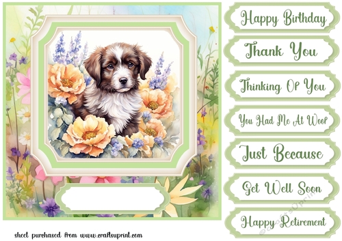 Framed floral puppy card front 22