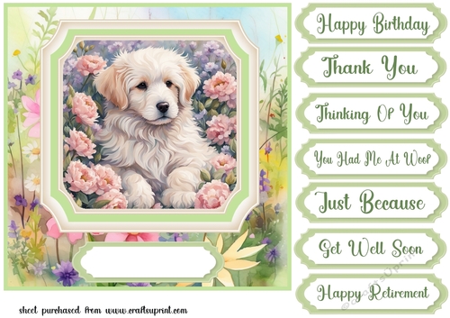 Framed floral puppy card front 24