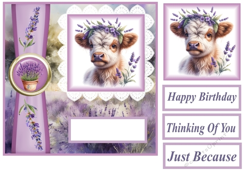 Lavender Highland cow card front 4