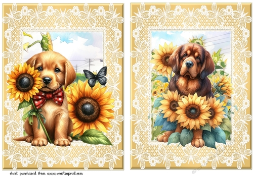 2 Sunflower pup card fronts 1