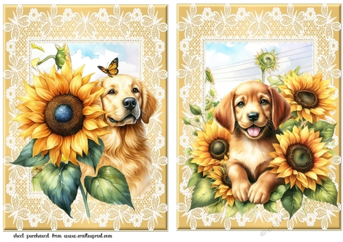 2 Sunflower pup card fronts 3