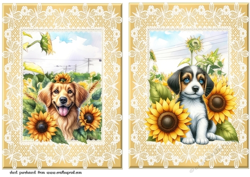2 Sunflower pup card fronts 5