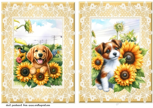 2 Sunflower pup card fronts 6
