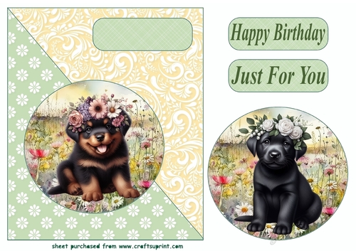 Floral pup card front (new) 6