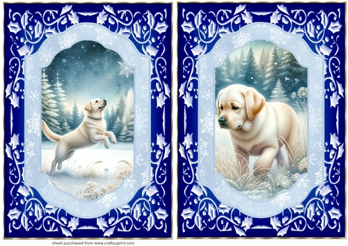 2 Blue winter Labrador card fronts 2