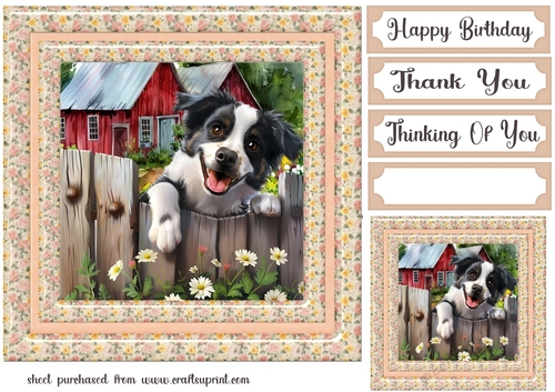 By the fence card front 10