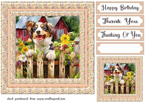 By the fence card front 11