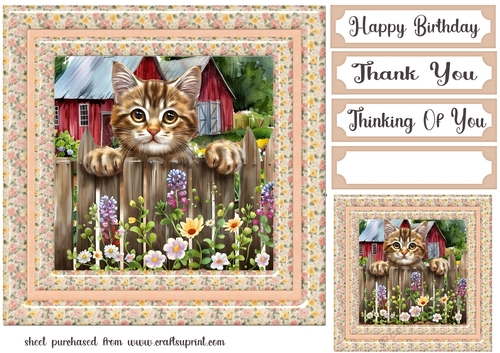 By the fence card front 13