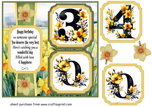 2 Panel age 30/40 daffodil card front