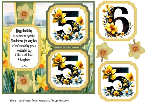2 Panel age 55/65 daffodil card front