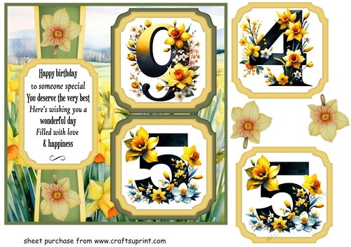 2 Panel age 95/45 daffodil card front