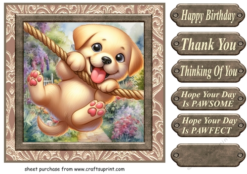 Pup playing in garden card front 1