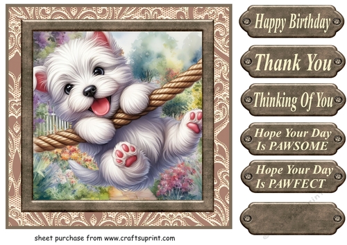 Pup playing in garden card front 3