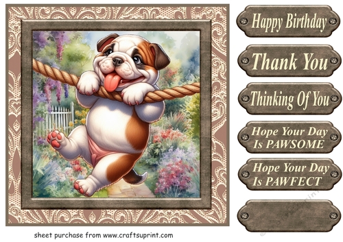 Pup playing in garden card front 6