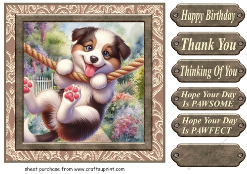 Pup playing in garden card front 7