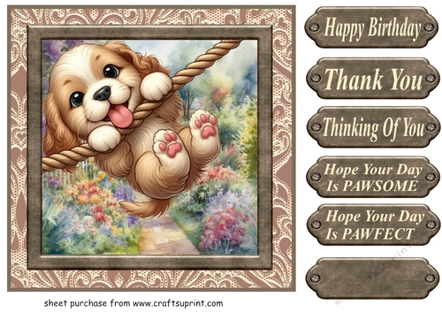 Pup playing in garden card front 8
