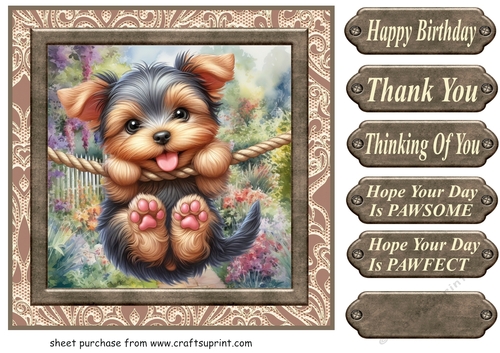 Pup playing in garden card front 11