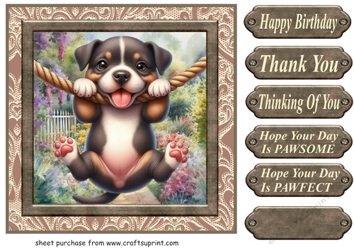 Pup playing in garden card front 12