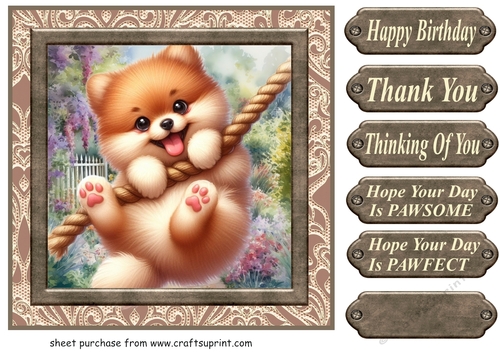 Pup playing in garden card front 15