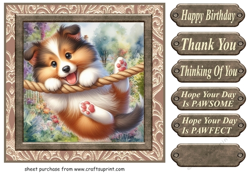 Pup playing in garden card front 16