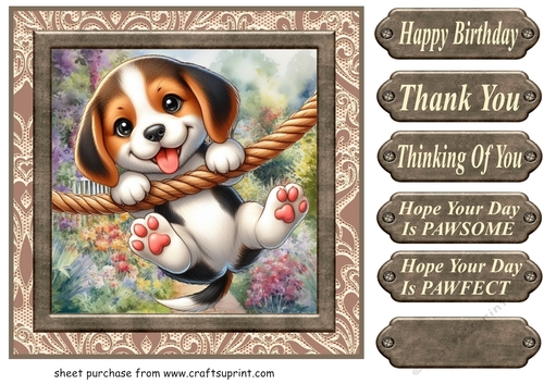 Pup playing in garden card front 17