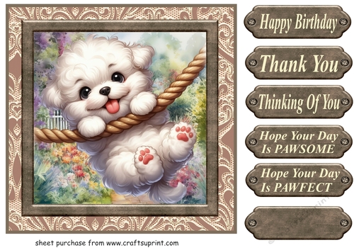 Pup playing in garden card front 18