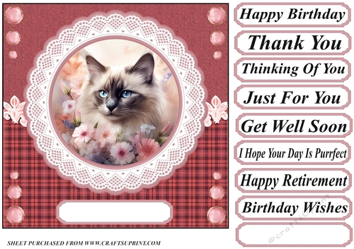 Pink floral cat card front 2