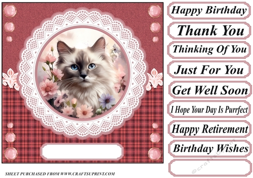 Pink floral cat card front 4