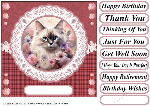 Pink floral cat card front 5