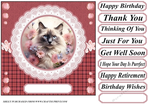 Pink floral cat card front 6