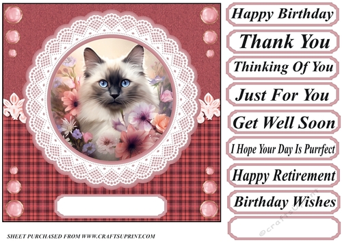Pink floral cat card front 8