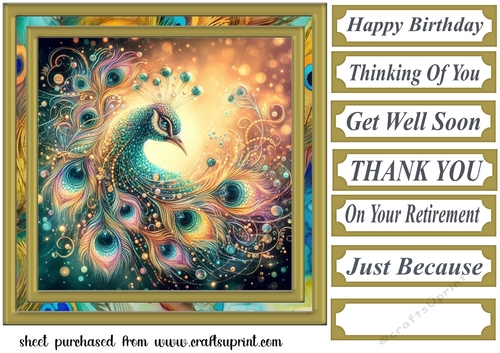 Colourful peacock card front 1