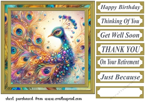 Colourful peacock card front 8