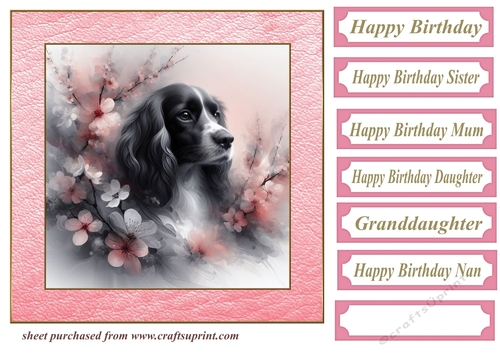 Pink cherry blossom Springer card front 1