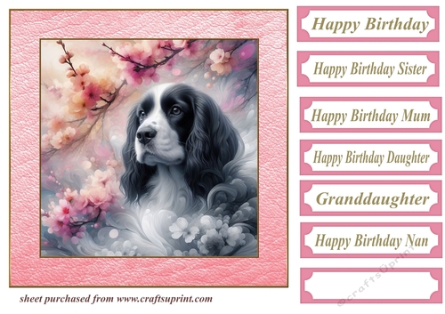 Pink cherry blossom Springer card front 3