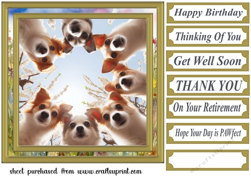 Just checking you are ok card front 5