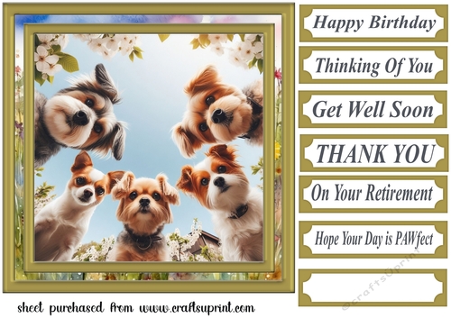 Just checking you are ok card front 6
