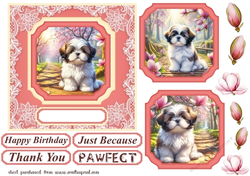 Magnolia pup card front 3