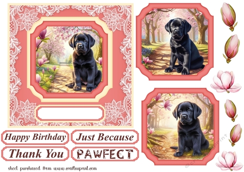 Magnolia pup card front 4